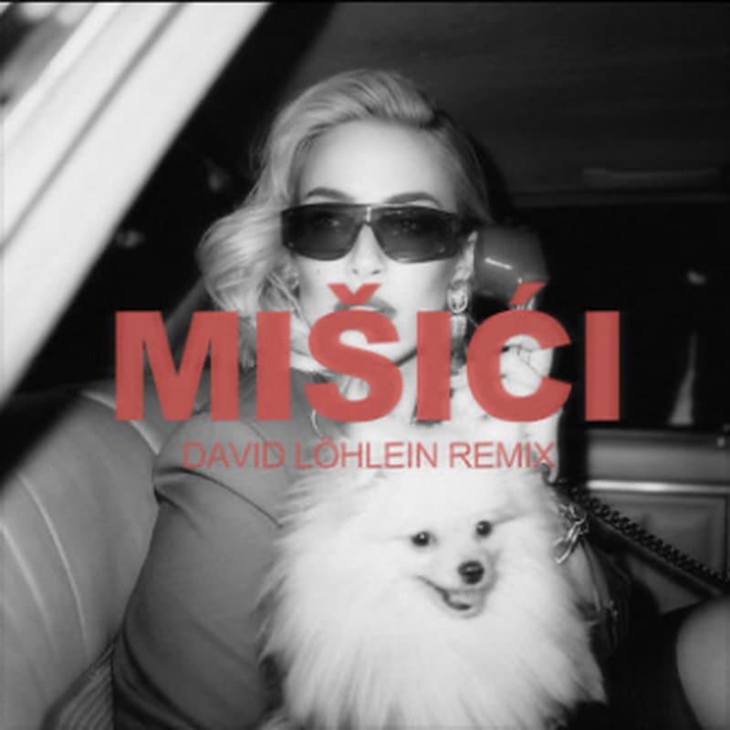 Senidah — Mišići (David Löhlein Remix)